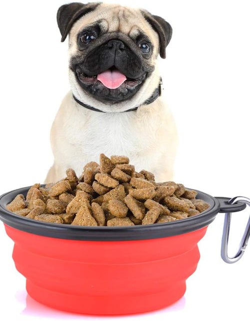 Load image into Gallery viewer, Large Collapsible Dog Bowls, 34Oz Travel Water Food Bowls Portable Foldable Collapse Dishes with Carabiner Clip for Traveling, Hiking, Walking, 2 Pack