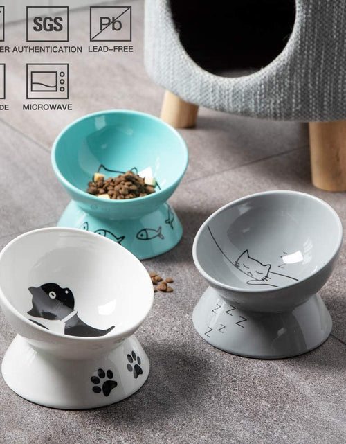 Load image into Gallery viewer, Raised Cat Bowl for Dry Wet Cat Food, Ceramic Elevated Pet Bowl Cat Dish, Protect Cat&#39;S Spine, Stress Free, Slanted Design for Cat Easy Eating, 10 Oz, Dishwasher Safe (Grey)
